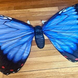 Blue Butterfly Kids Costume Wings